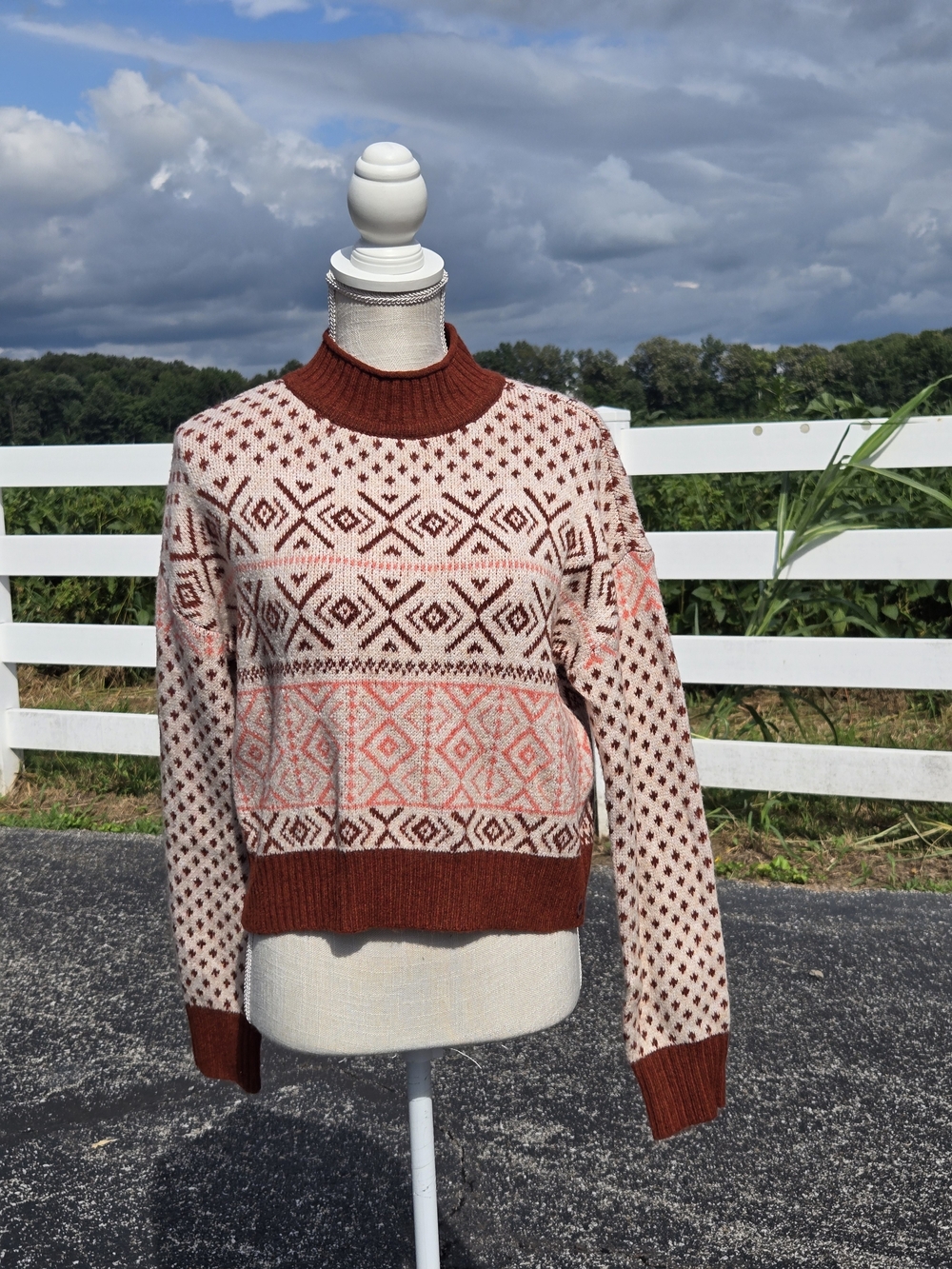 American Eagle AEO Sweater Womens XS Mock Neck Crop